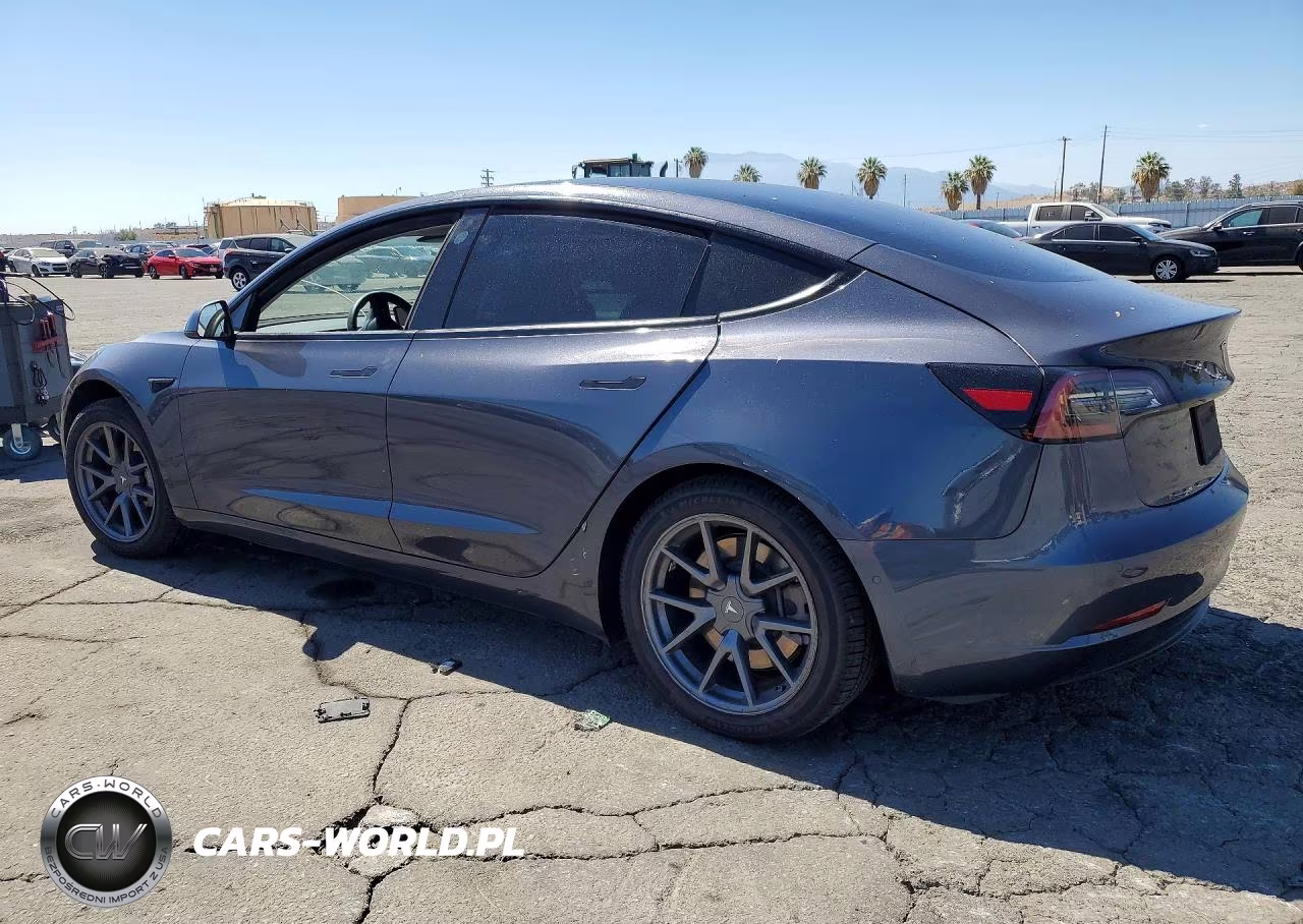 2021 Tesla Model 3 VIN:5YJ3E1EA5MF100205 - 2