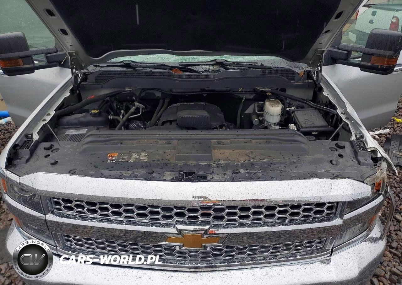 2019 Chevrolet Silverado K2500 Heavy Duty VIN:1GC1KREG2KF178033 - 11