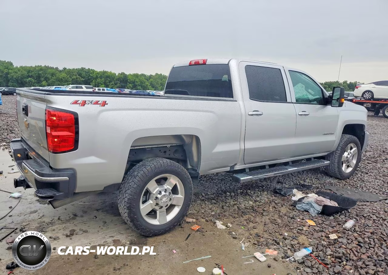 2019 Chevrolet Silverado K2500 Heavy Duty VIN:1GC1KREG2KF178033 - 3