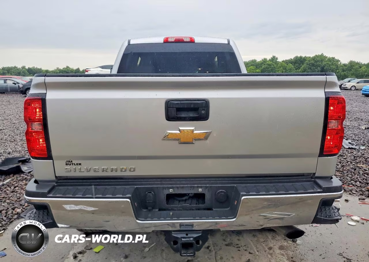 2019 Chevrolet Silverado K2500 Heavy Duty VIN:1GC1KREG2KF178033 - 6