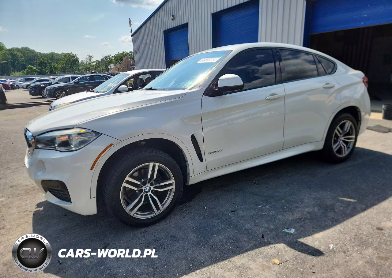 2018 BMW X6 xDrive35I – zdjęcie 1 z 14