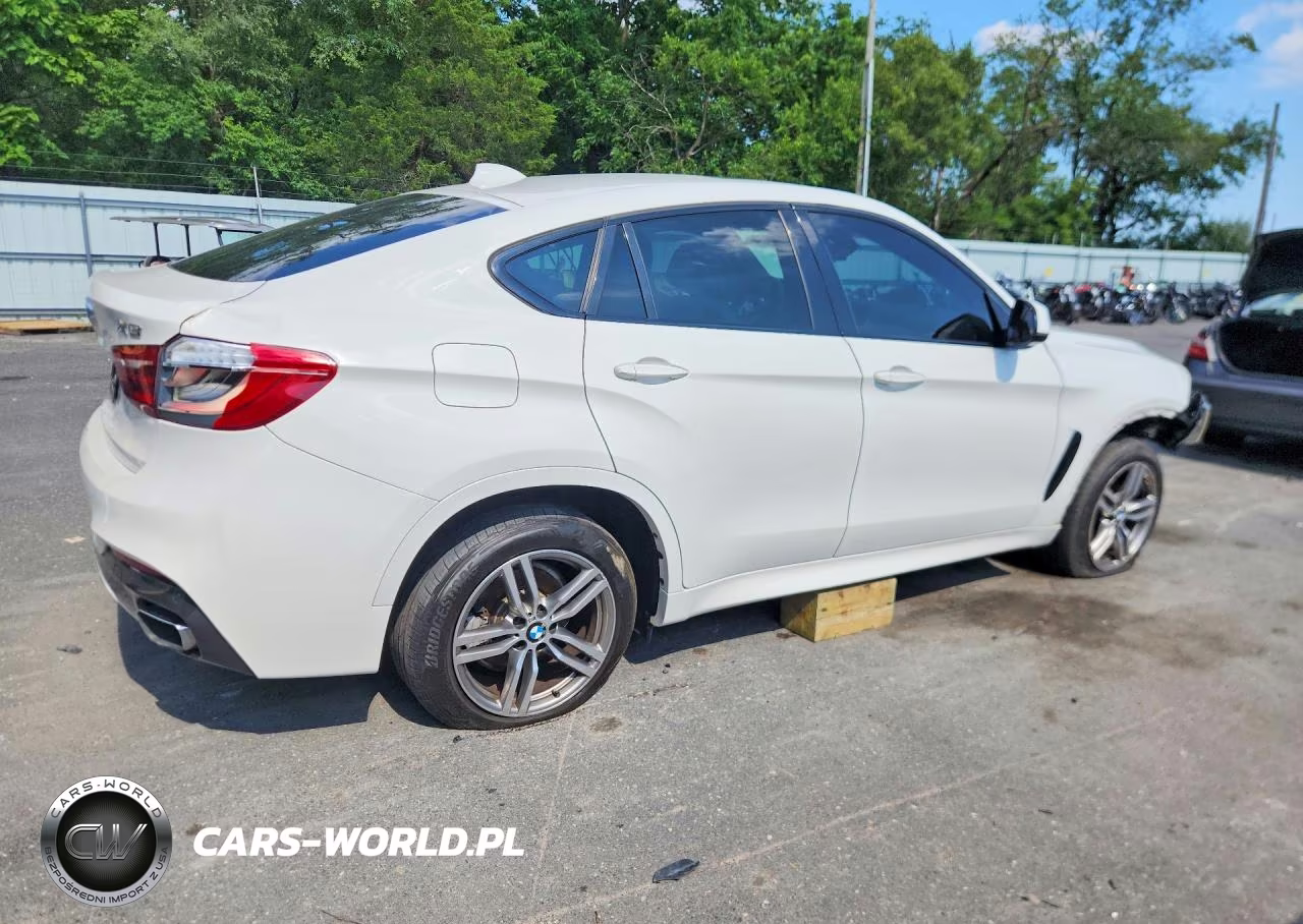 2018 BMW X6 xDrive35I VIN:5UXKU2C58J0X48916 - 3