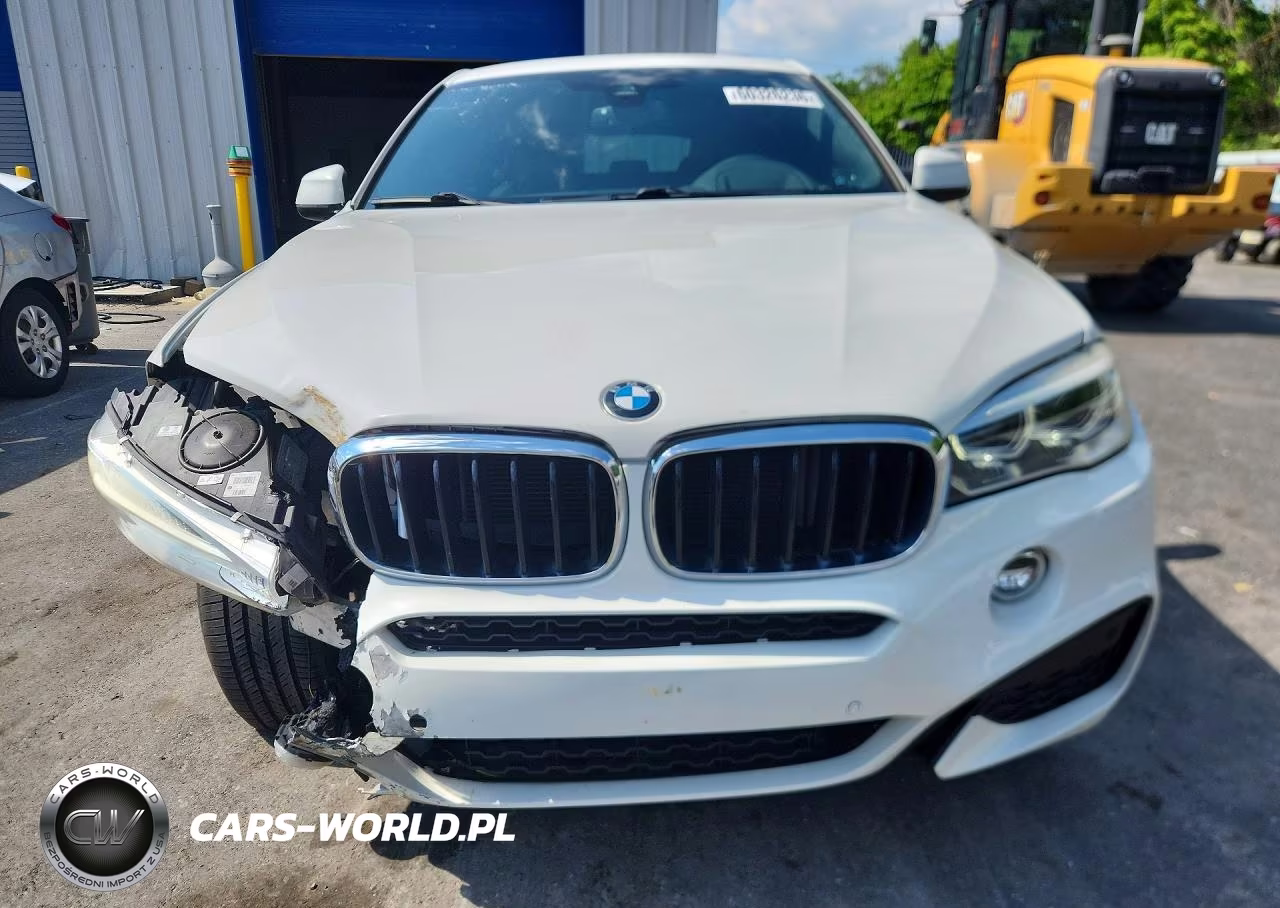 2018 BMW X6 xDrive35I VIN:5UXKU2C58J0X48916 - 5