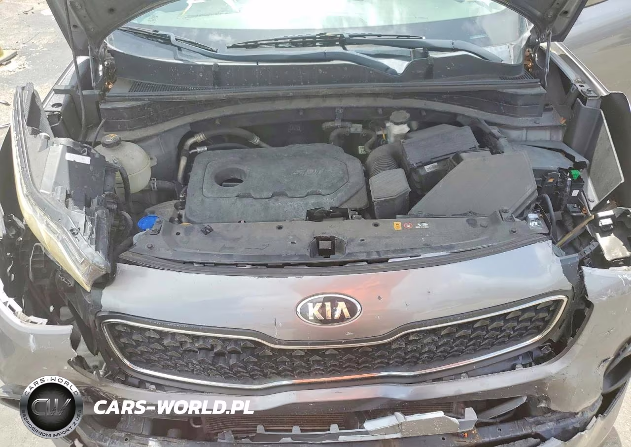 2019 Kia Sportage Lx VIN:KNDPM3AC0K7536843 - 12