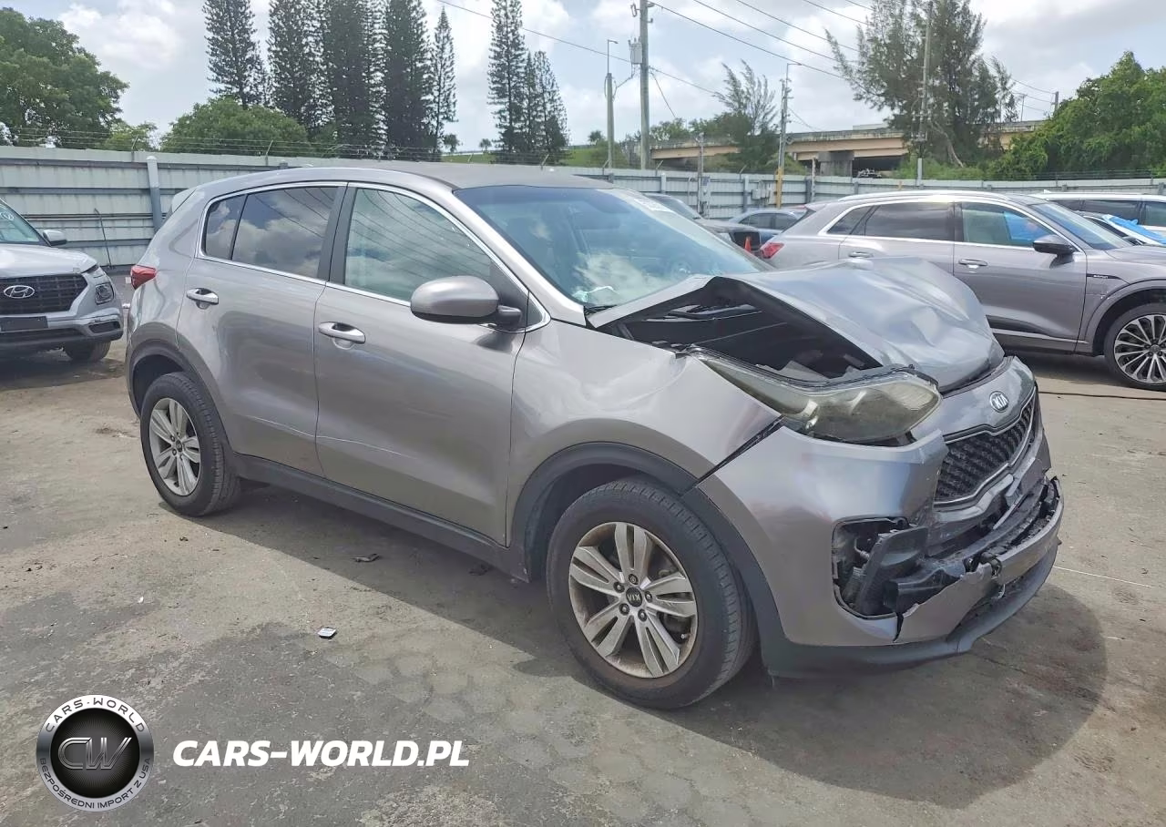 2019 Kia Sportage Lx VIN:KNDPM3AC0K7536843 - 4