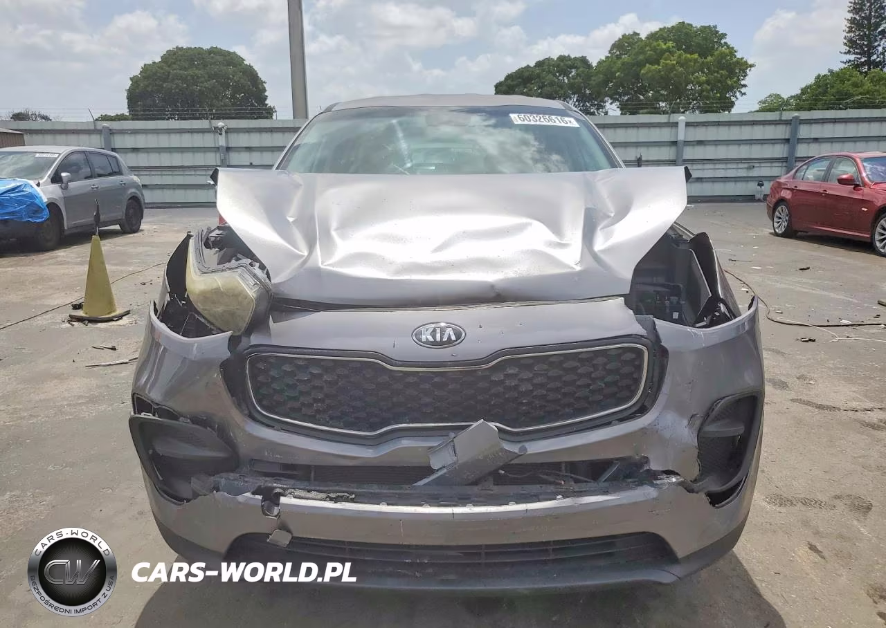 2019 Kia Sportage Lx VIN:KNDPM3AC0K7536843 - 5