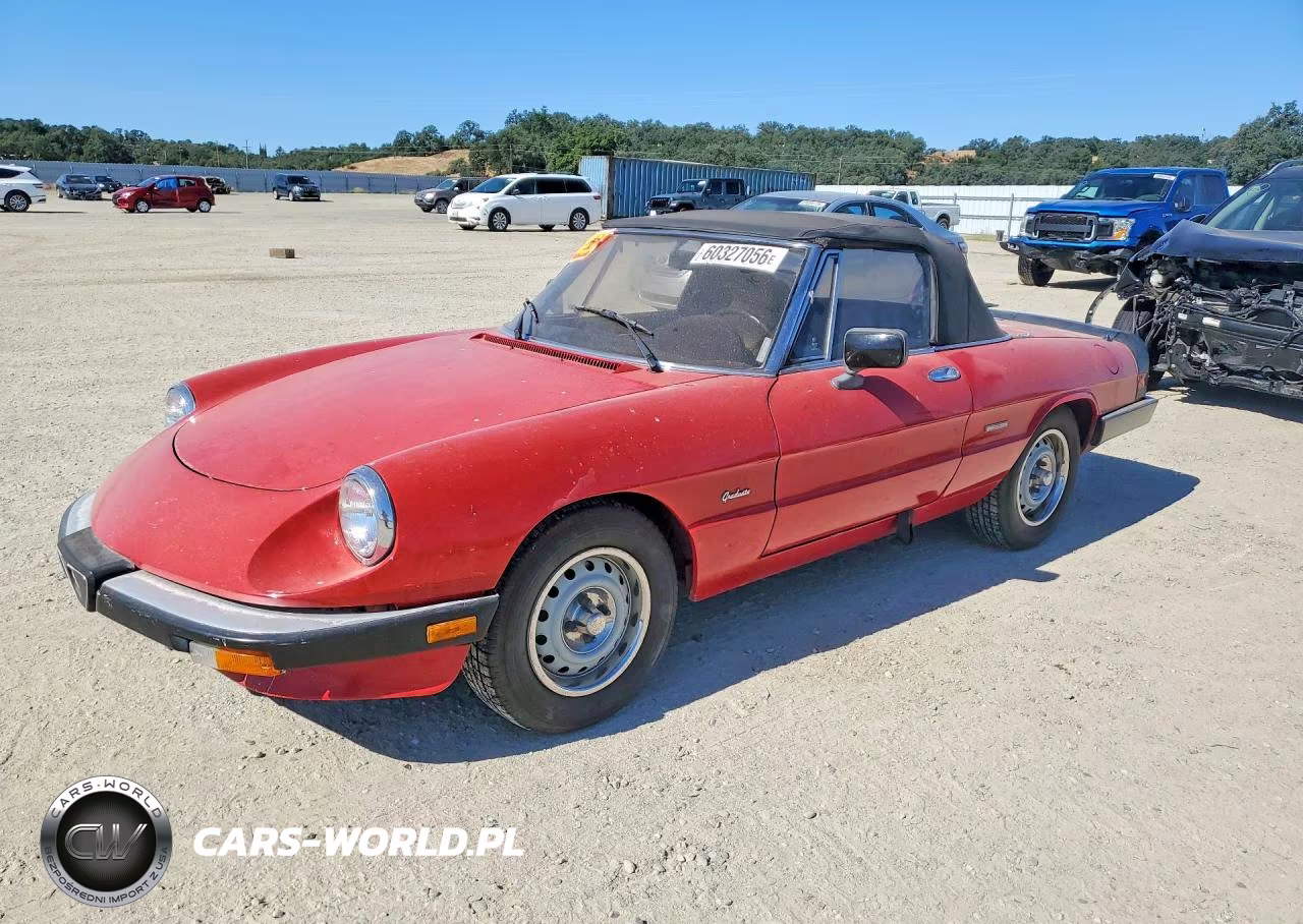 1987 Alfa Romeo Spider Graduate – zdjęcie 1 z 12