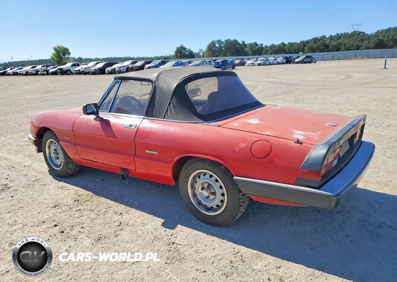 1987 Alfa Romeo Spider Graduate VIN:ZARBA5640H1045254 - 2