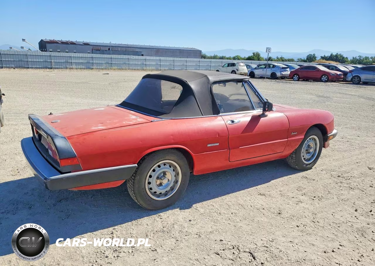 1987 Alfa Romeo Spider Graduate VIN:ZARBA5640H1045254 - 3