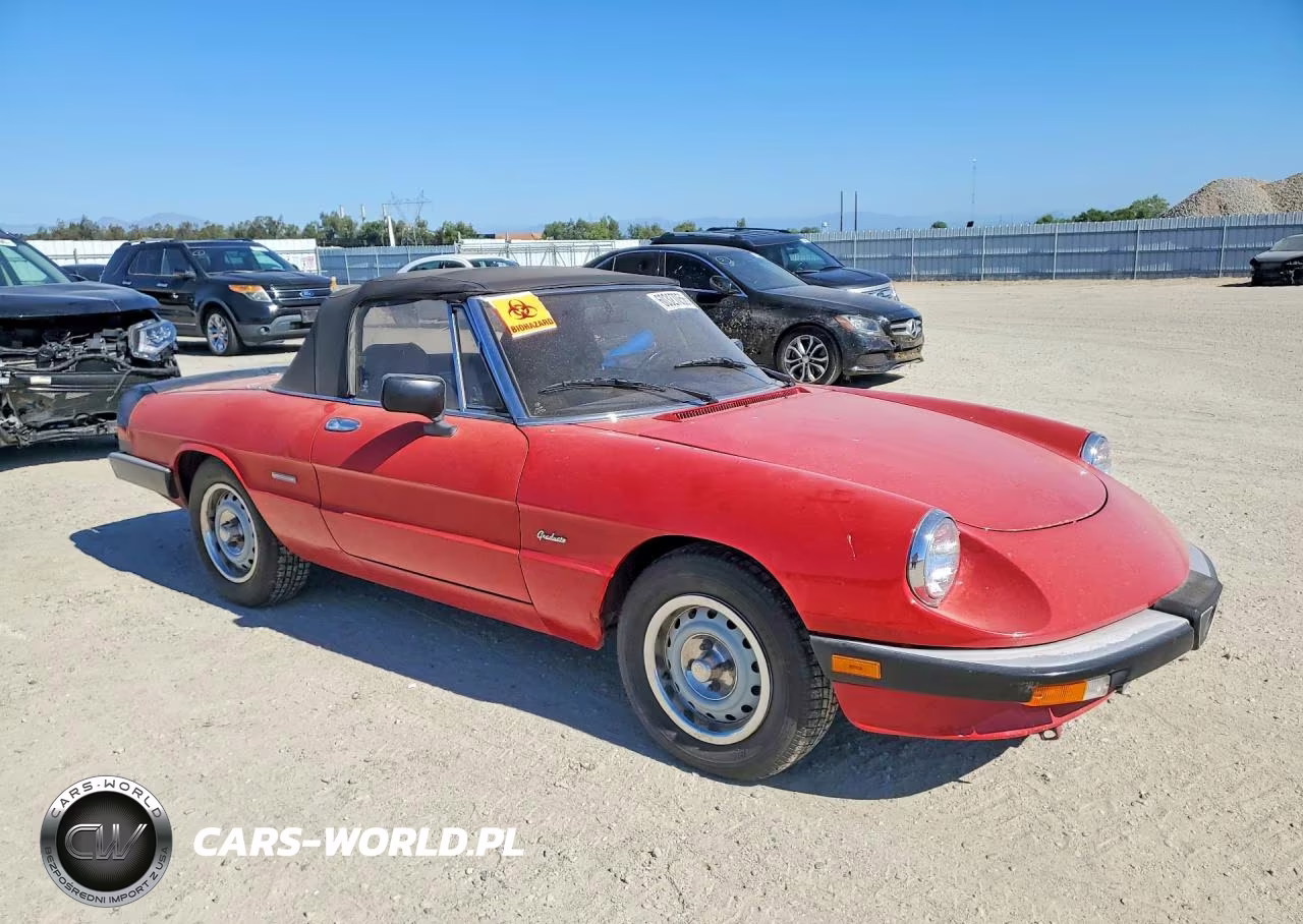 1987 Alfa Romeo Spider Graduate VIN:ZARBA5640H1045254 - 4