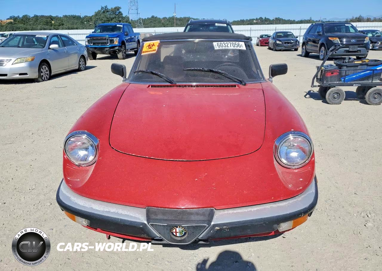 1987 Alfa Romeo Spider Graduate VIN:ZARBA5640H1045254 - 5