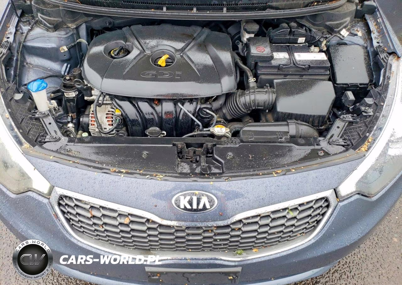 2016 Kia Forte Lx VIN:KNAFK5A8XG5622475 - 11