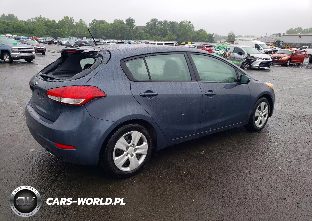 2016 Kia Forte Lx VIN:KNAFK5A8XG5622475 - 3