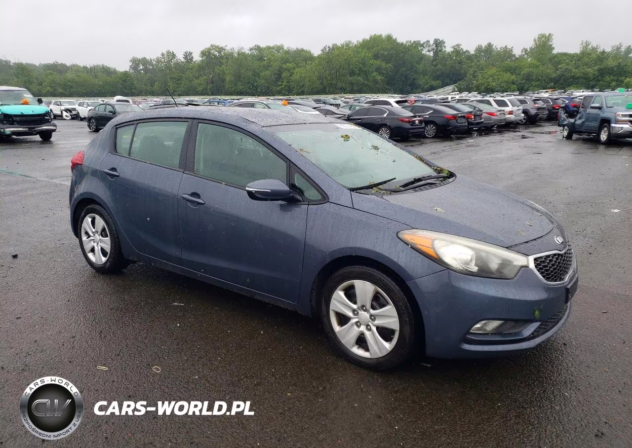 2016 Kia Forte Lx VIN:KNAFK5A8XG5622475 - 4