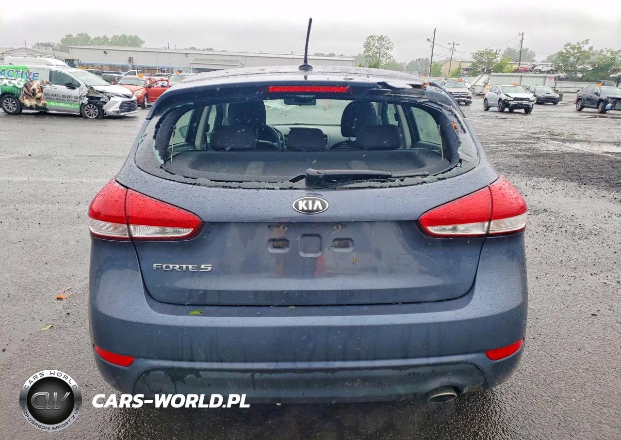 2016 Kia Forte Lx VIN:KNAFK5A8XG5622475 - 6
