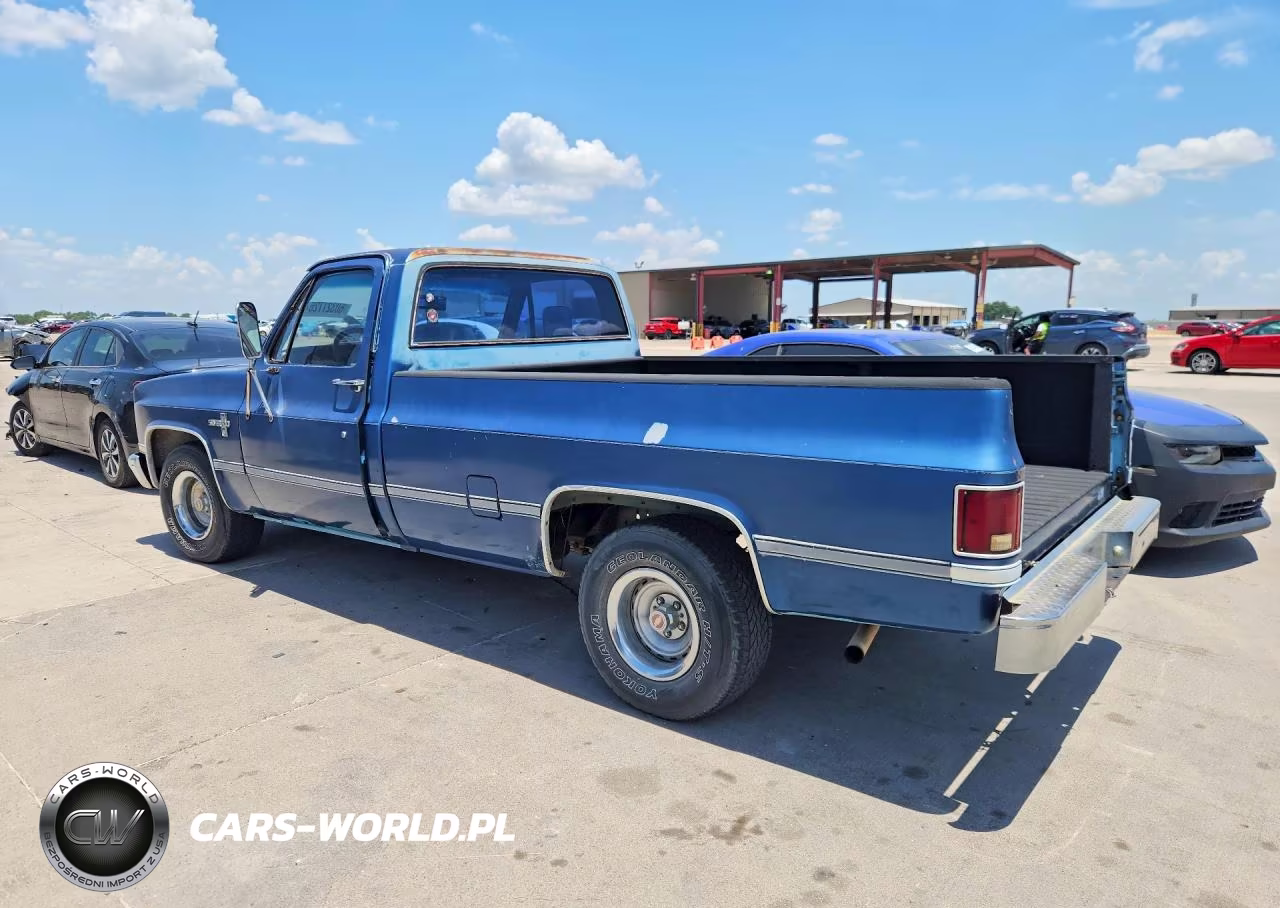 1984 Chevrolet C10 VIN:1GCDC14H8ES180063 - 2