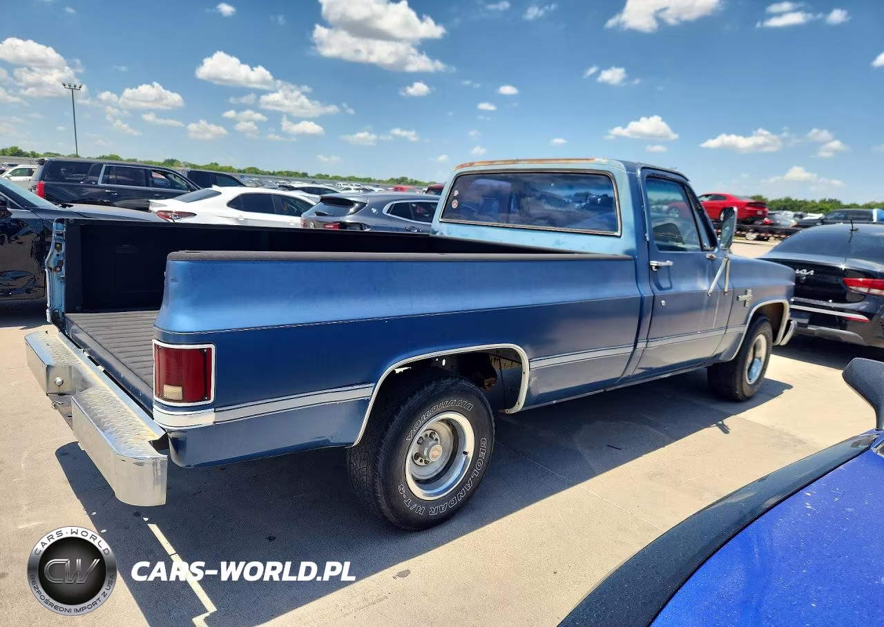 1984 Chevrolet C10 VIN:1GCDC14H8ES180063 - 3