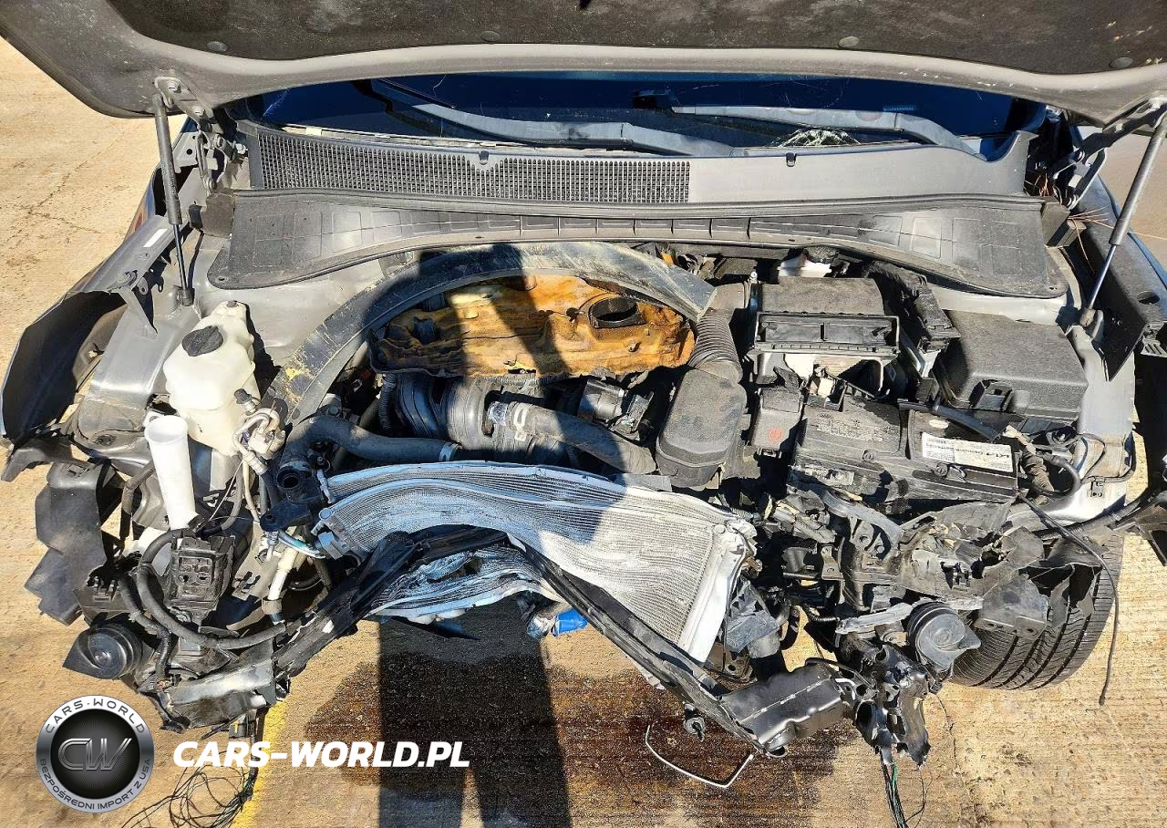 2019 Kia Sorento Lx VIN:5XYPG4A39KG531012 - 12