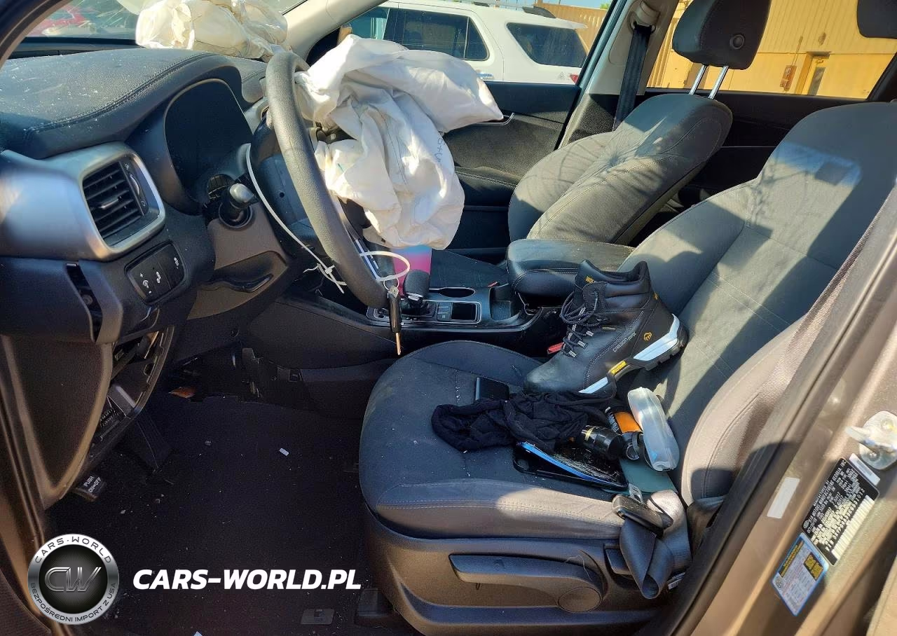 2019 Kia Sorento Lx VIN:5XYPG4A39KG531012 - 7