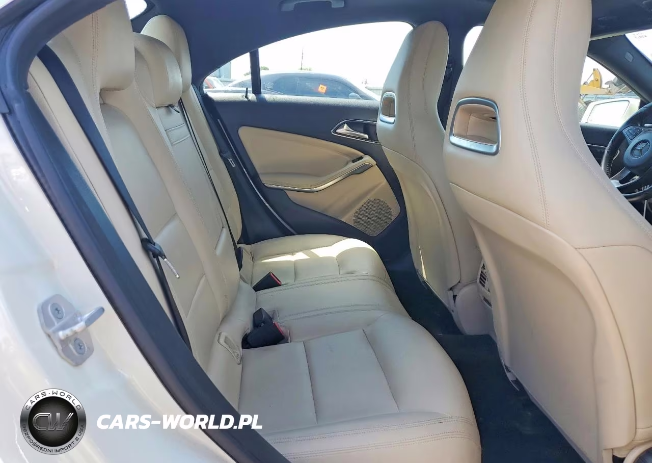 2016 Mercedes-Benz Cla 250 VIN:WDDSJ4EB3GN316390 - 10