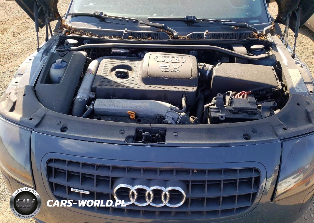 2004 Audi Tt Quattro VIN:TRUUT28N741005495 - 11
