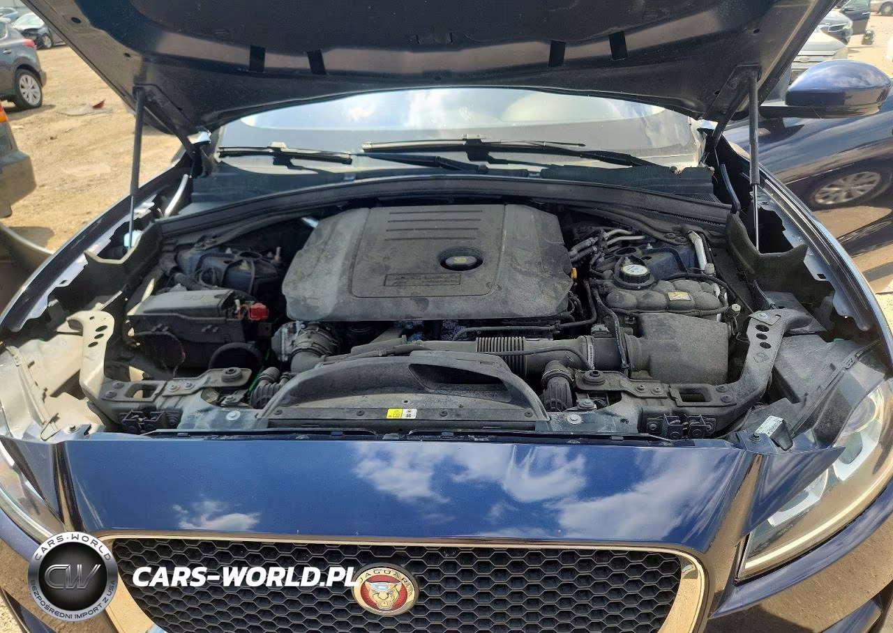 2017 Jaguar F-Pace Premium VIN:SADCJ2BN5HA091839 - 11