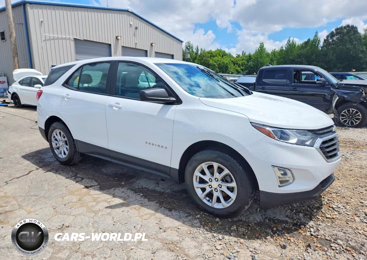 2020 Chevrolet Equinox Ls VIN:3GNAXHEV6LS568843 - 4