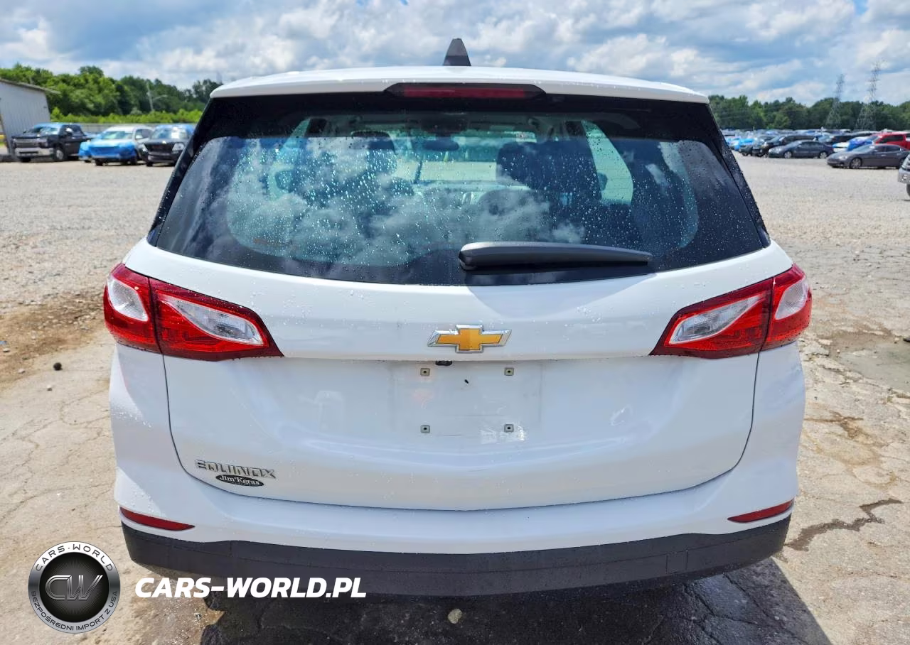 2020 Chevrolet Equinox Ls VIN:3GNAXHEV6LS568843 - 6