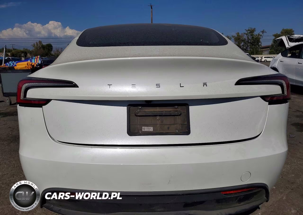 2024 Tesla Model 3 VIN:5YJ3E1EA4RF849133 - 6