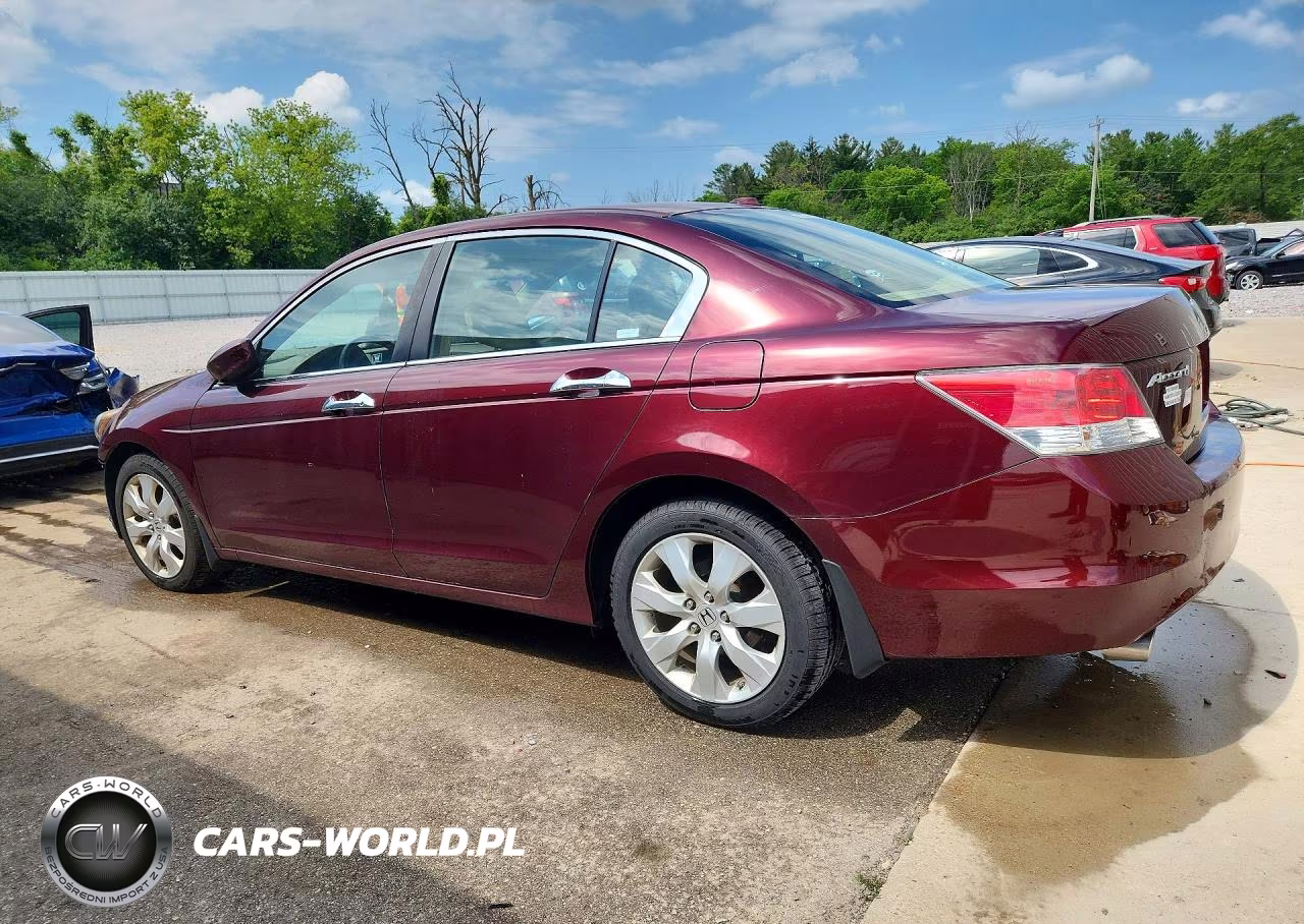 2009 Honda Accord Exl VIN:1HGCP36819A040393 - 2