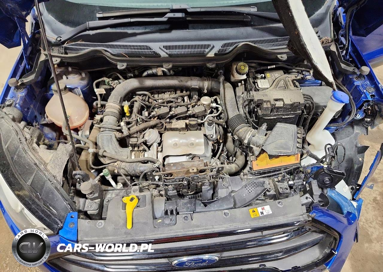 2020 Ford Ecosport VIN:MAJ3S2FE5LC384873 - 12