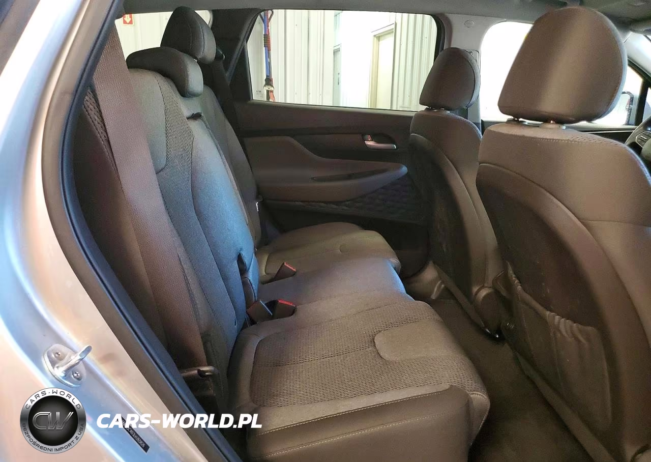 2020 Hyundai Santa Fe Sel VIN:5NMS3CAD3LH265826 - 11