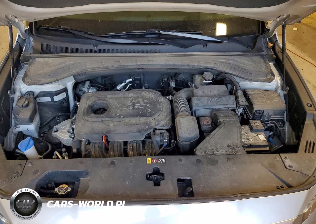2020 Hyundai Santa Fe Sel VIN:5NMS3CAD3LH265826 - 12