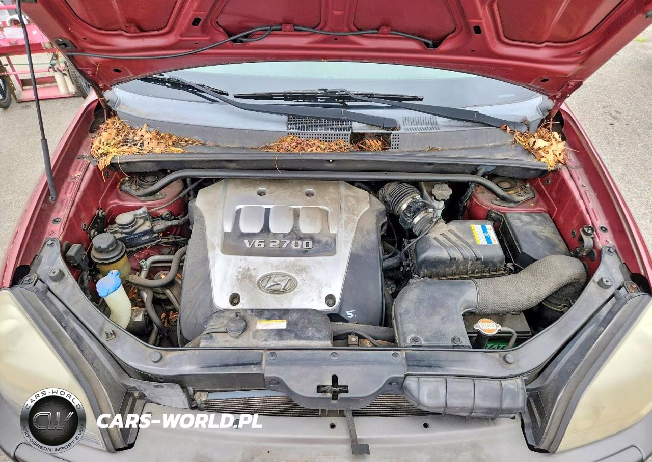2006 Hyundai Tucson Gls VIN:KM8JN72D96U379138 - 12