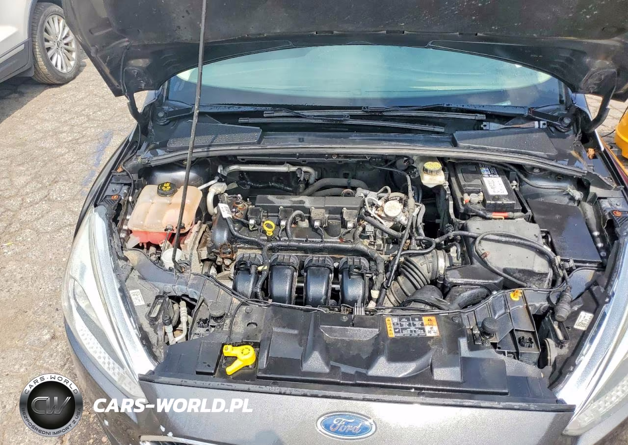 2017 Ford Focus Se VIN:1FADP3K21HL302569 - 11