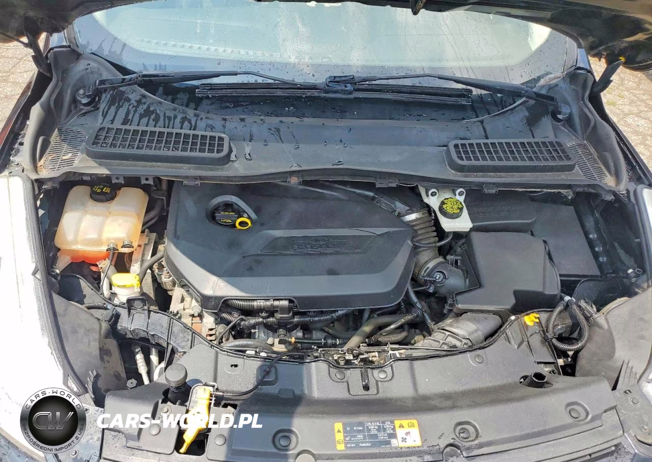 2015 Ford Escape Se VIN:1FMCU9GX0FUA12882 - 12