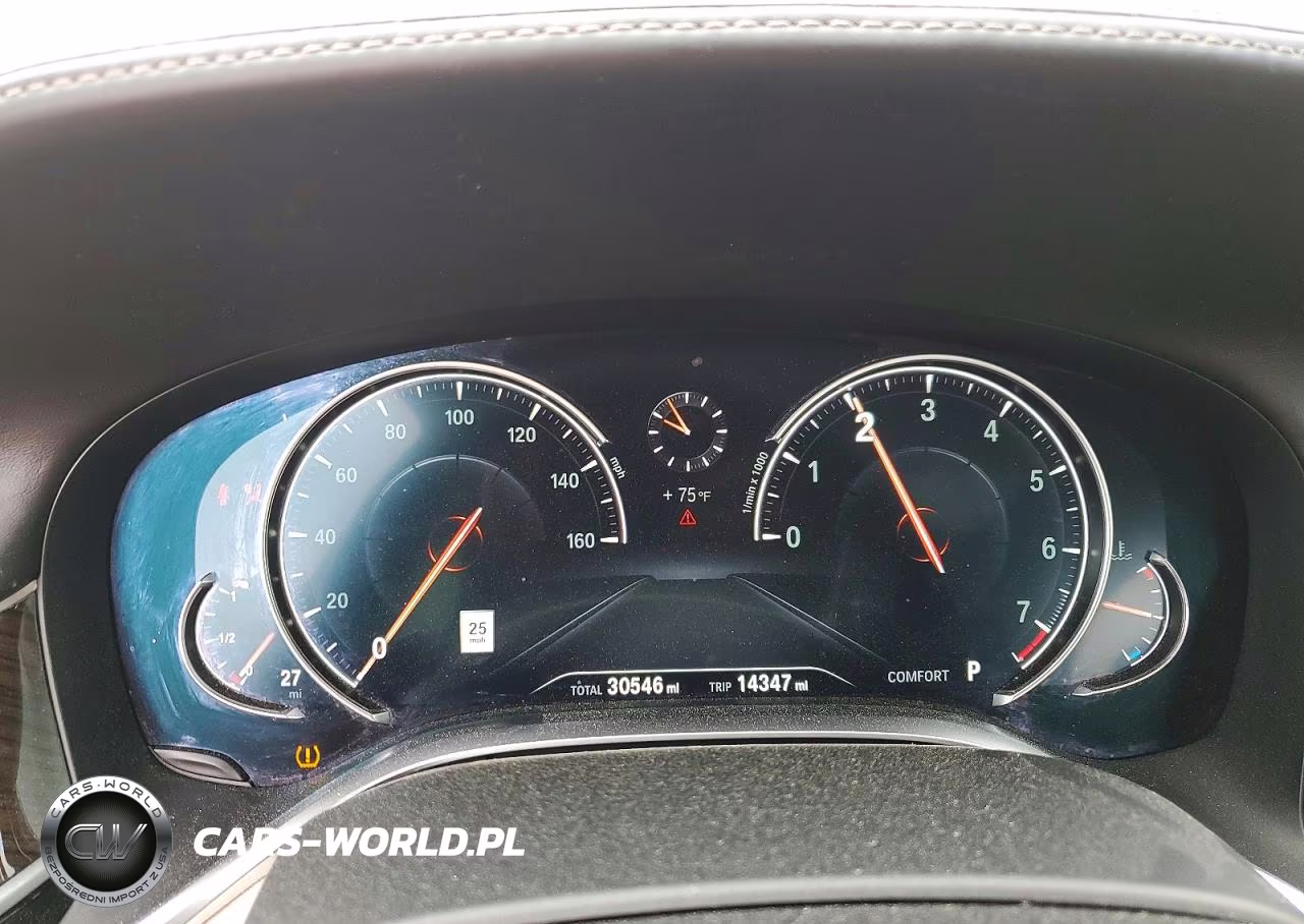 2019 BMW 750 I VIN:WBA7F0C53KGM25594 - 9