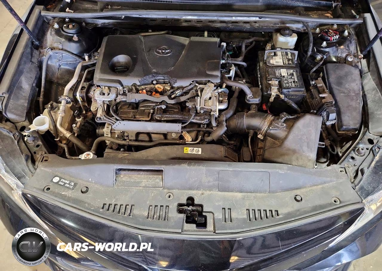 2019 Toyota Camry Le VIN:4T1B11HK7KU198004 - 11