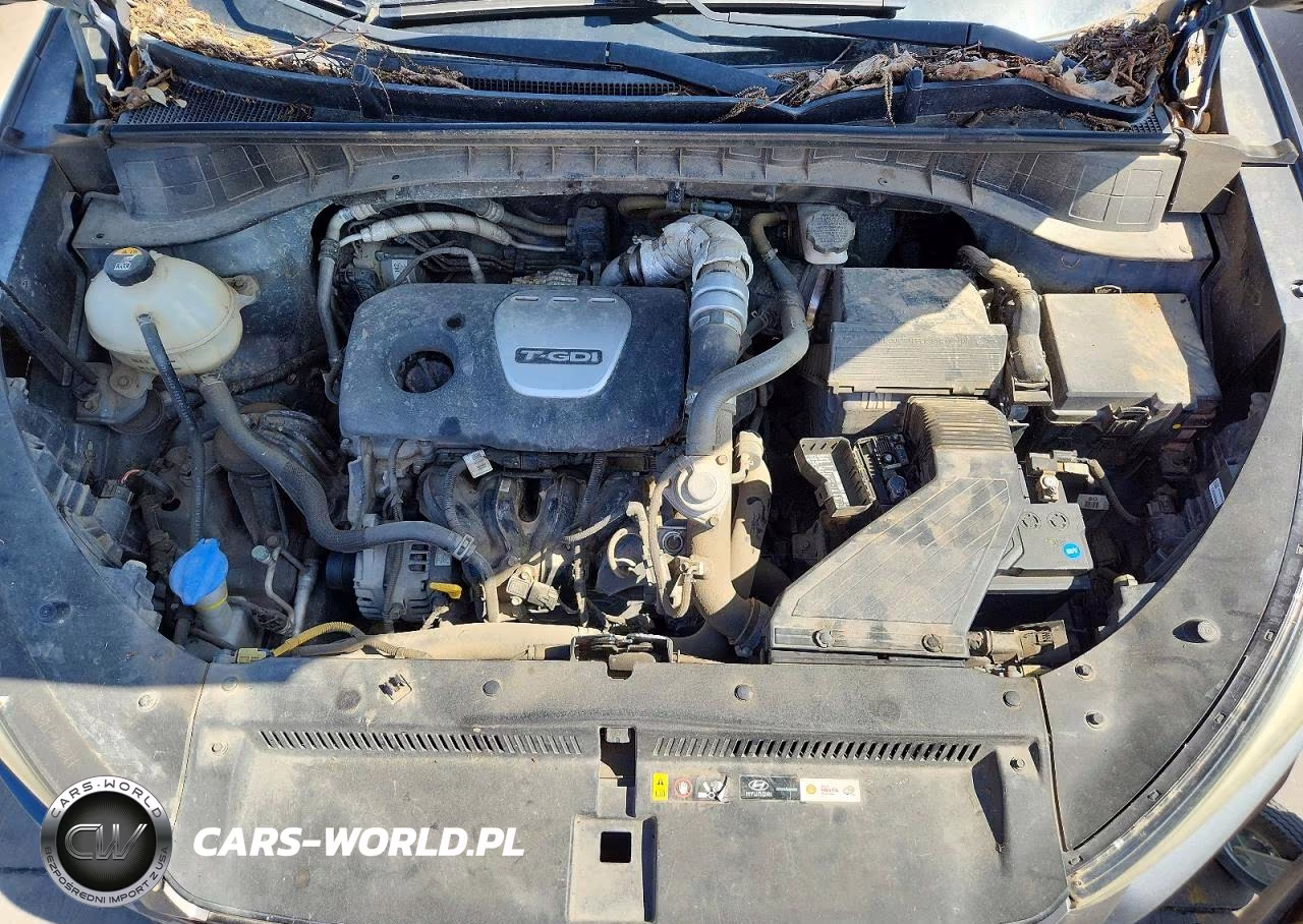 2016 Hyundai Tucson Eco VIN:KM8J33A22GU199158 - 11