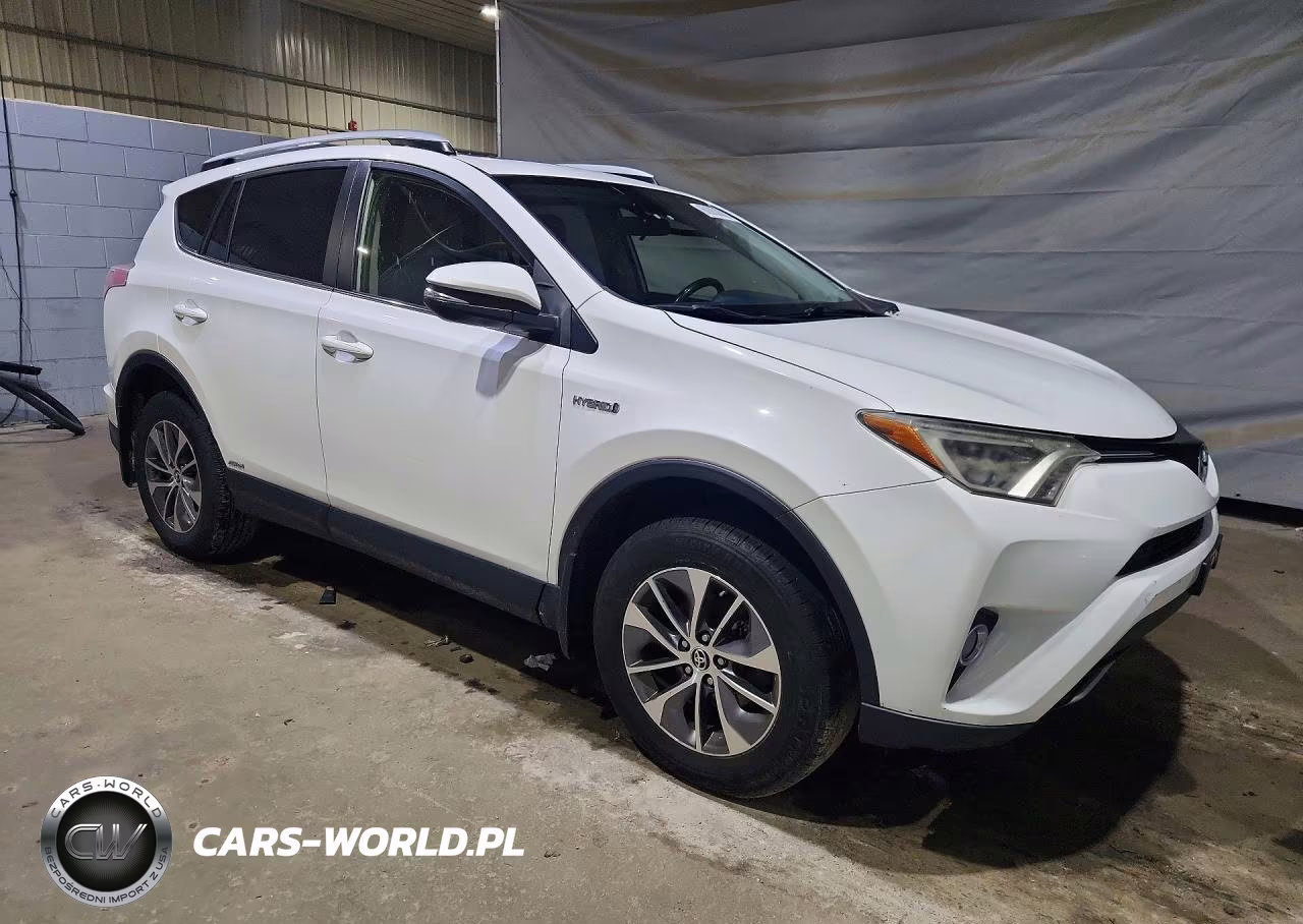 2016 Toyota Rav4 Hv Xle VIN:JTMRJREV2GD020895 - 4
