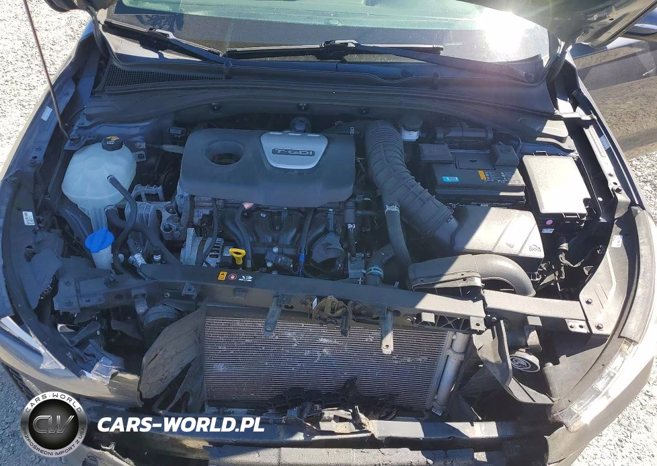 2018 Hyundai Elantra Gt Sport VIN:KMHH55LC6JU033193 - 12