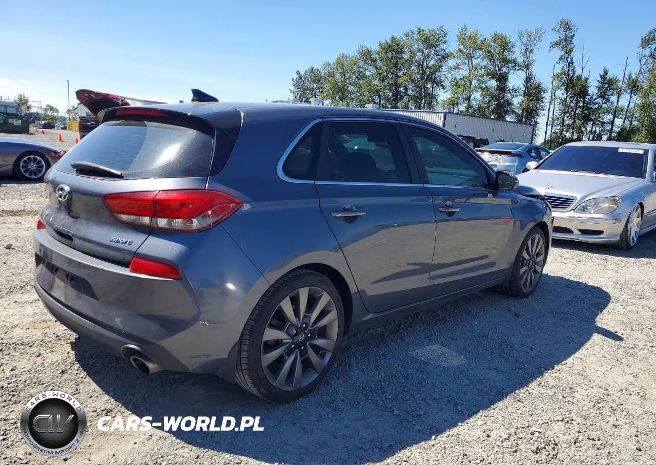 2018 Hyundai Elantra Gt Sport VIN:KMHH55LC6JU033193 - 3