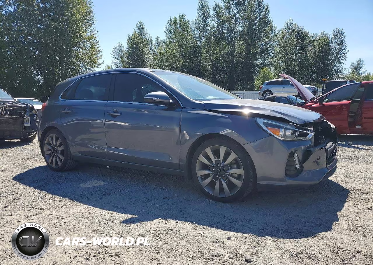 2018 Hyundai Elantra Gt Sport VIN:KMHH55LC6JU033193 - 4