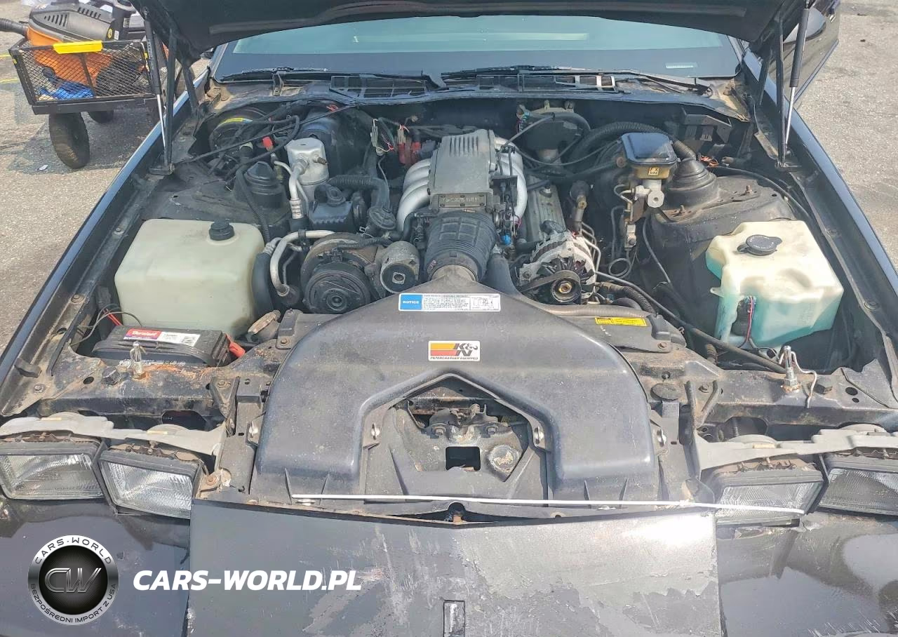1991 Chevrolet Camaro Z28 VIN:1G1FP2389ML101960 - 11
