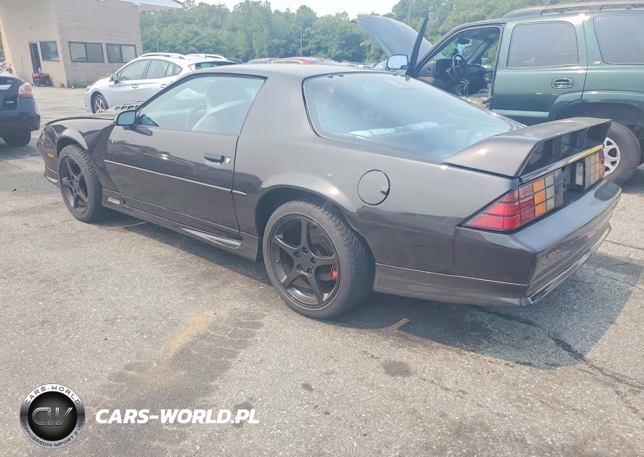1991 Chevrolet Camaro Z28 VIN:1G1FP2389ML101960 - 2