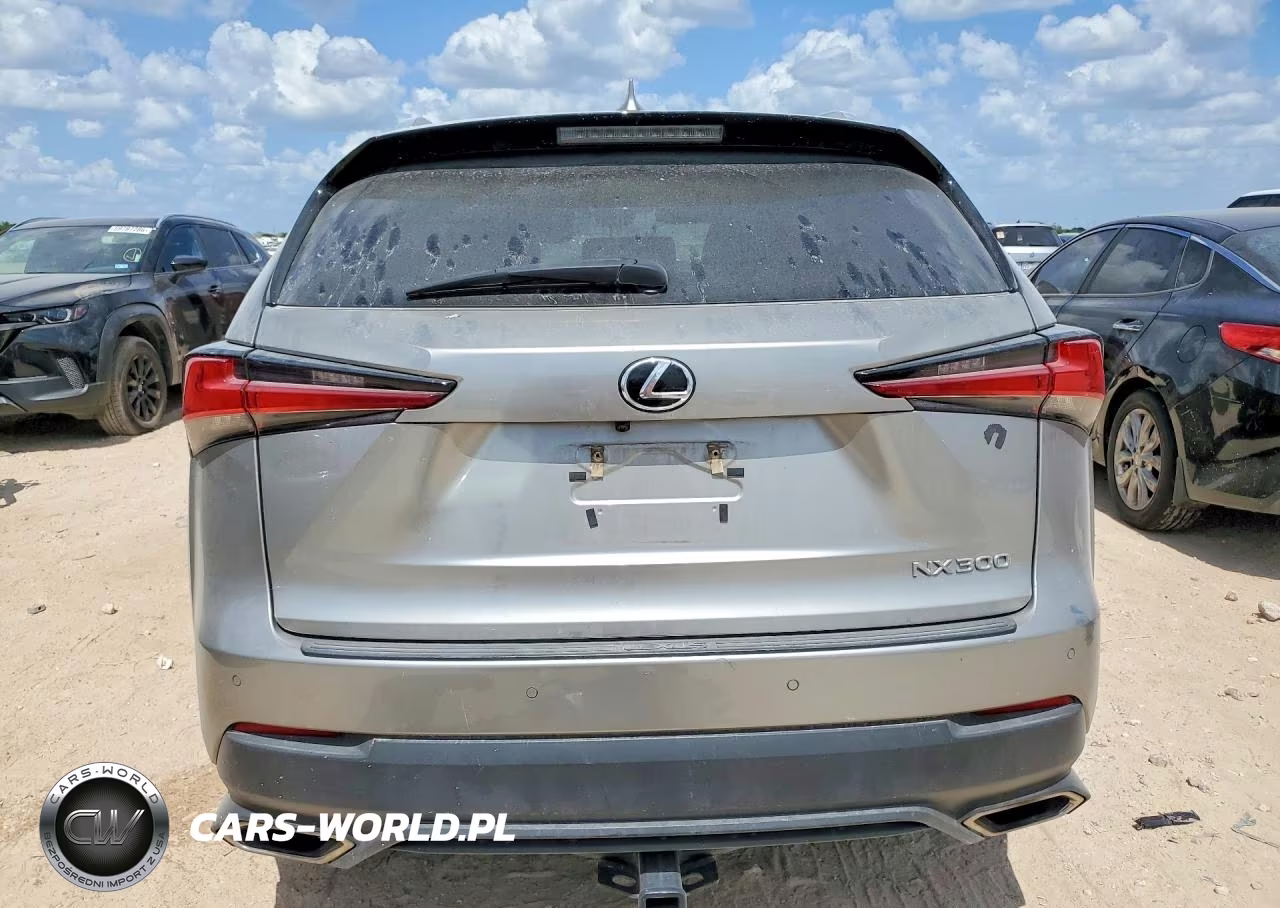 2021 Lexus Nx 300 Base VIN:JTJGARBZXM2180848 - 6