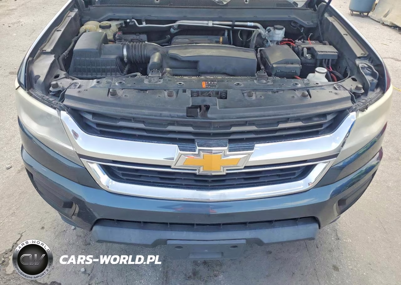 2019 Chevrolet Colorado Lt VIN:1GCHSCEA4K1300492 - 11