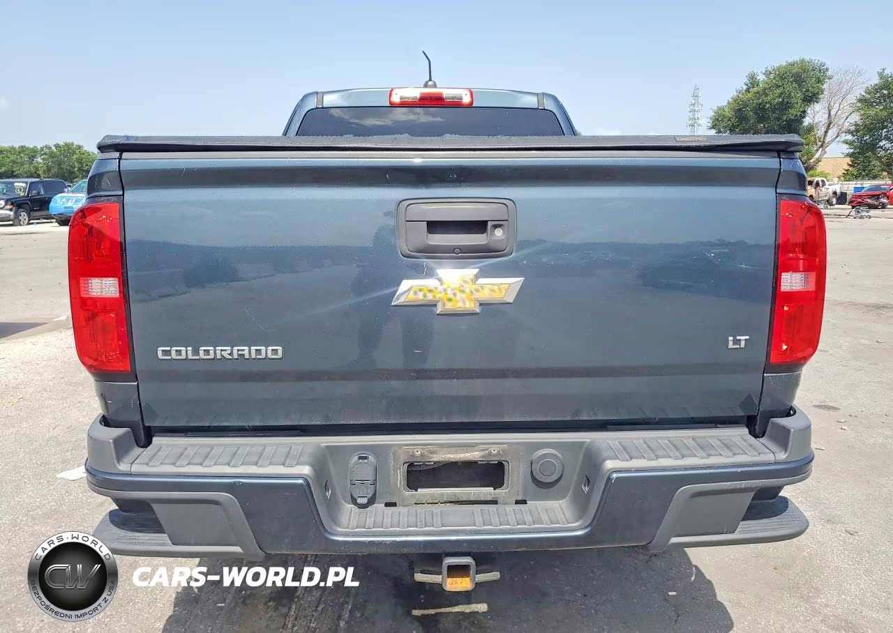 2019 Chevrolet Colorado Lt VIN:1GCHSCEA4K1300492 - 6
