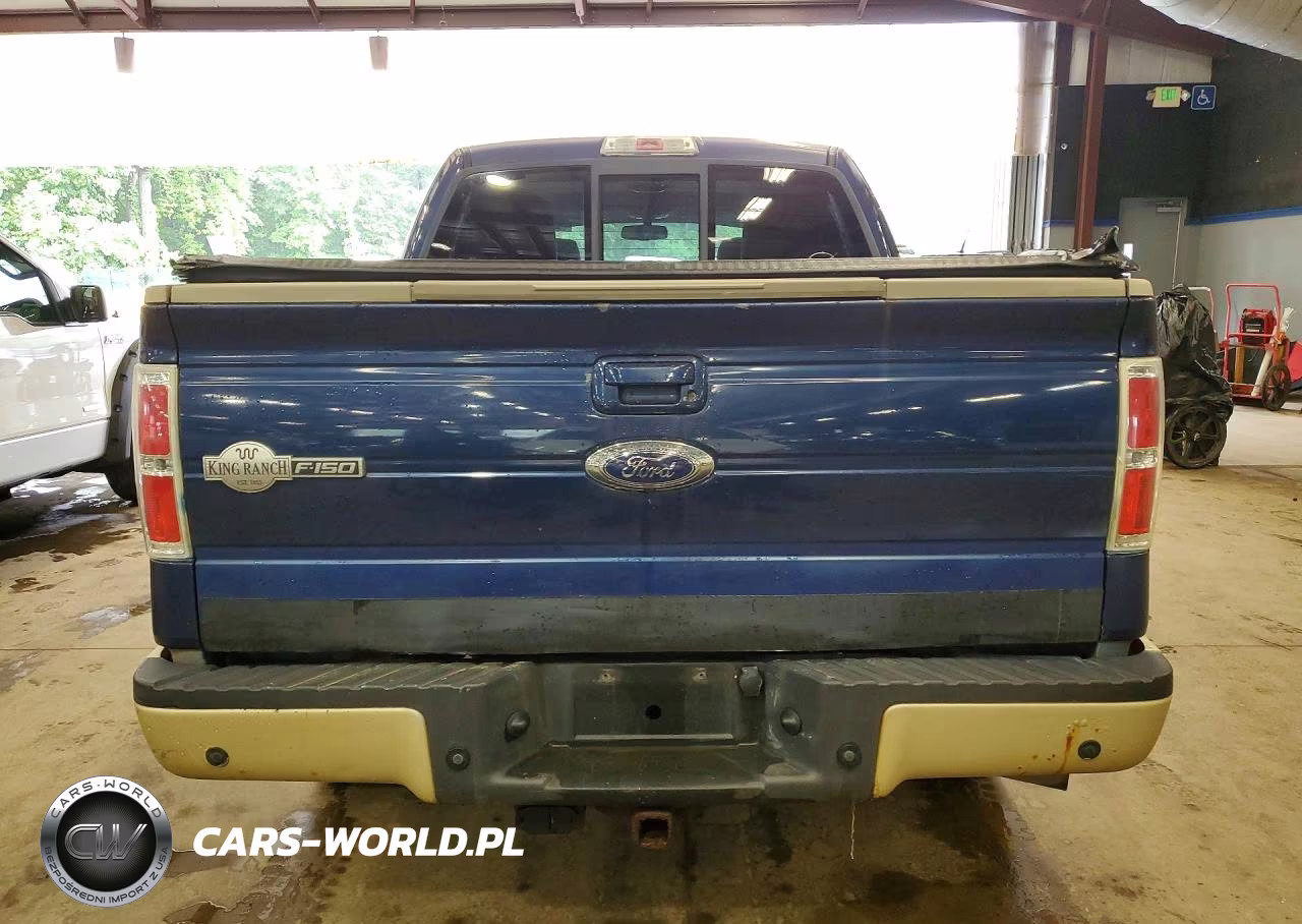 2010 Ford F150 Supercrew VIN:1FTFW1CVXAKA66129 - 6