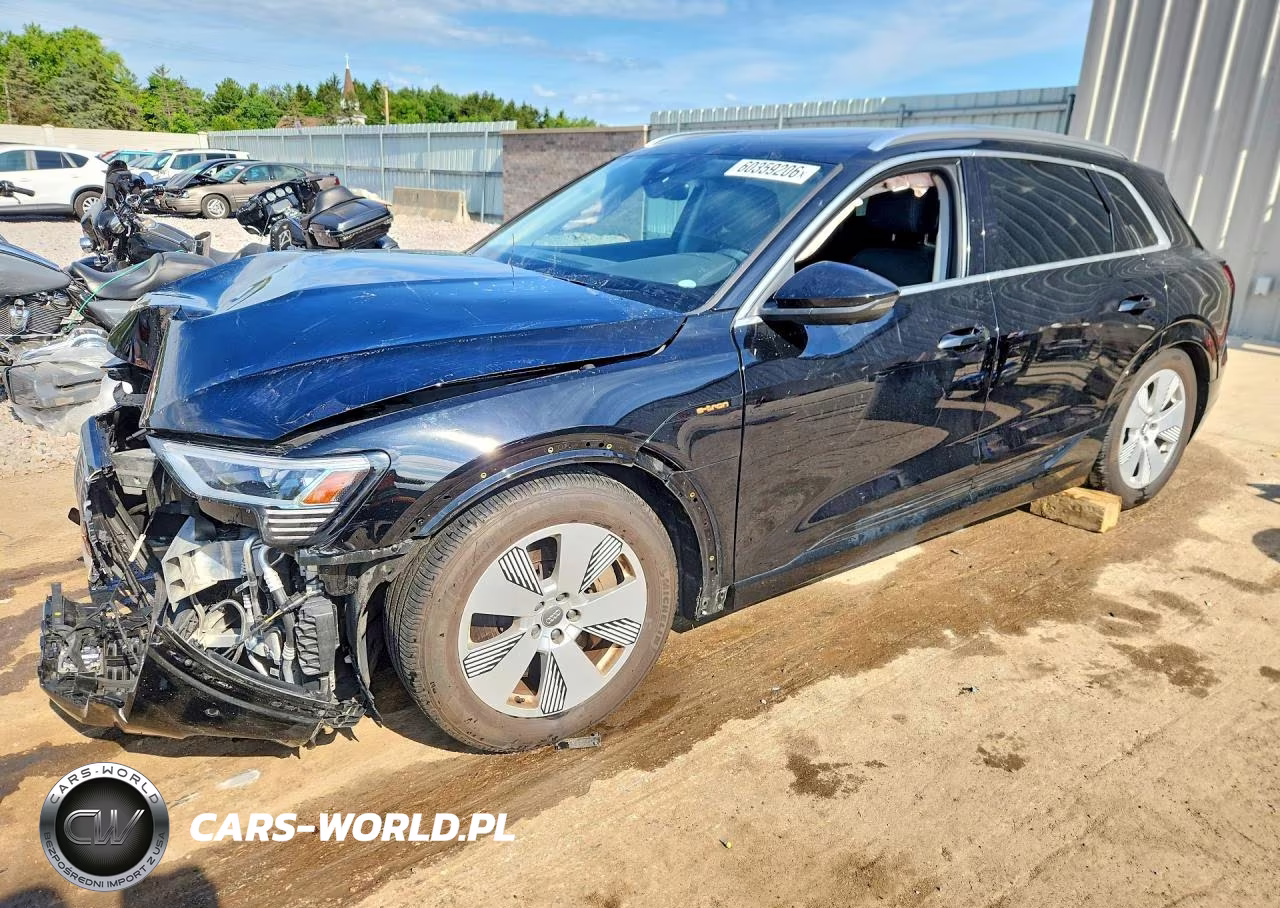 2019 Audi E-Tron Premium Plus – zdjęcie 1 z 14